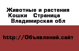 Животные и растения Кошки - Страница 7 . Владимирская обл.